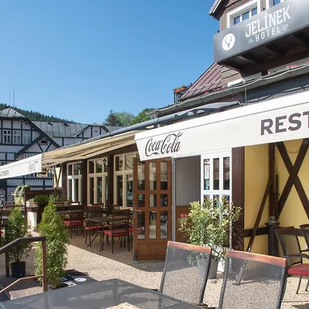 Hotel Jelinek 4*