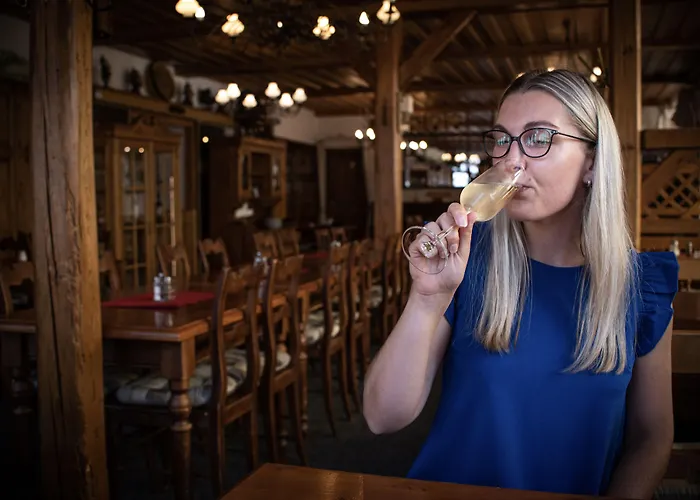 Jelinek 4* Szpindlerowy Młyn